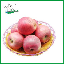 QINGUAN Apfel / frischen Qinguan Apfel 9kg